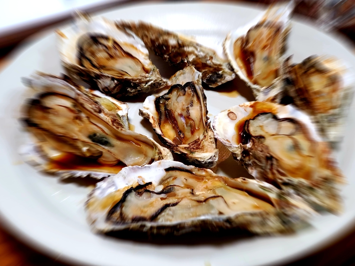 f:id:nakani-shooter:20191119155121j:plain