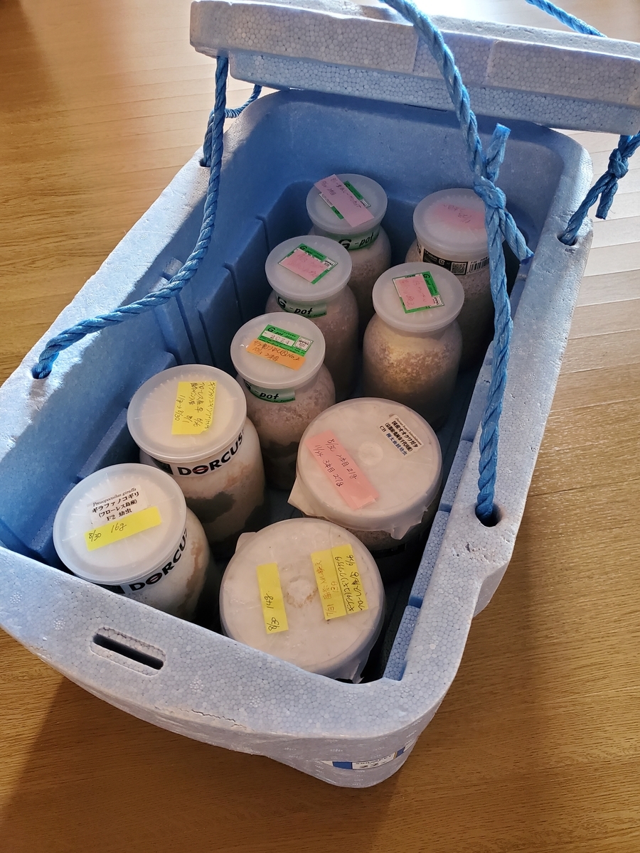 f:id:nakani-shooter:20191202182102j:plain f:id:nakani-shooter:20191202182102j:plain