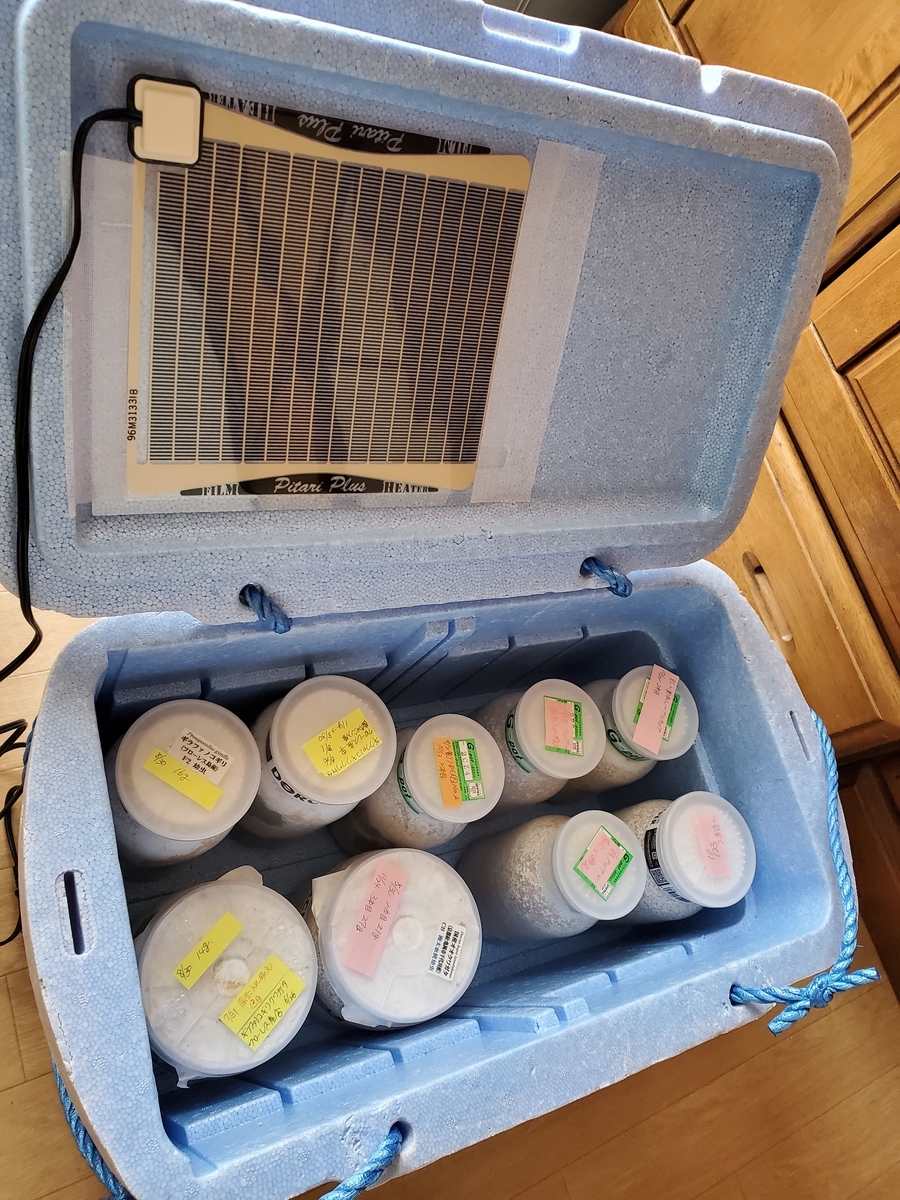 f:id:nakani-shooter:20191202182540j:plain f:id:nakani-shooter:20191202182540j:plain