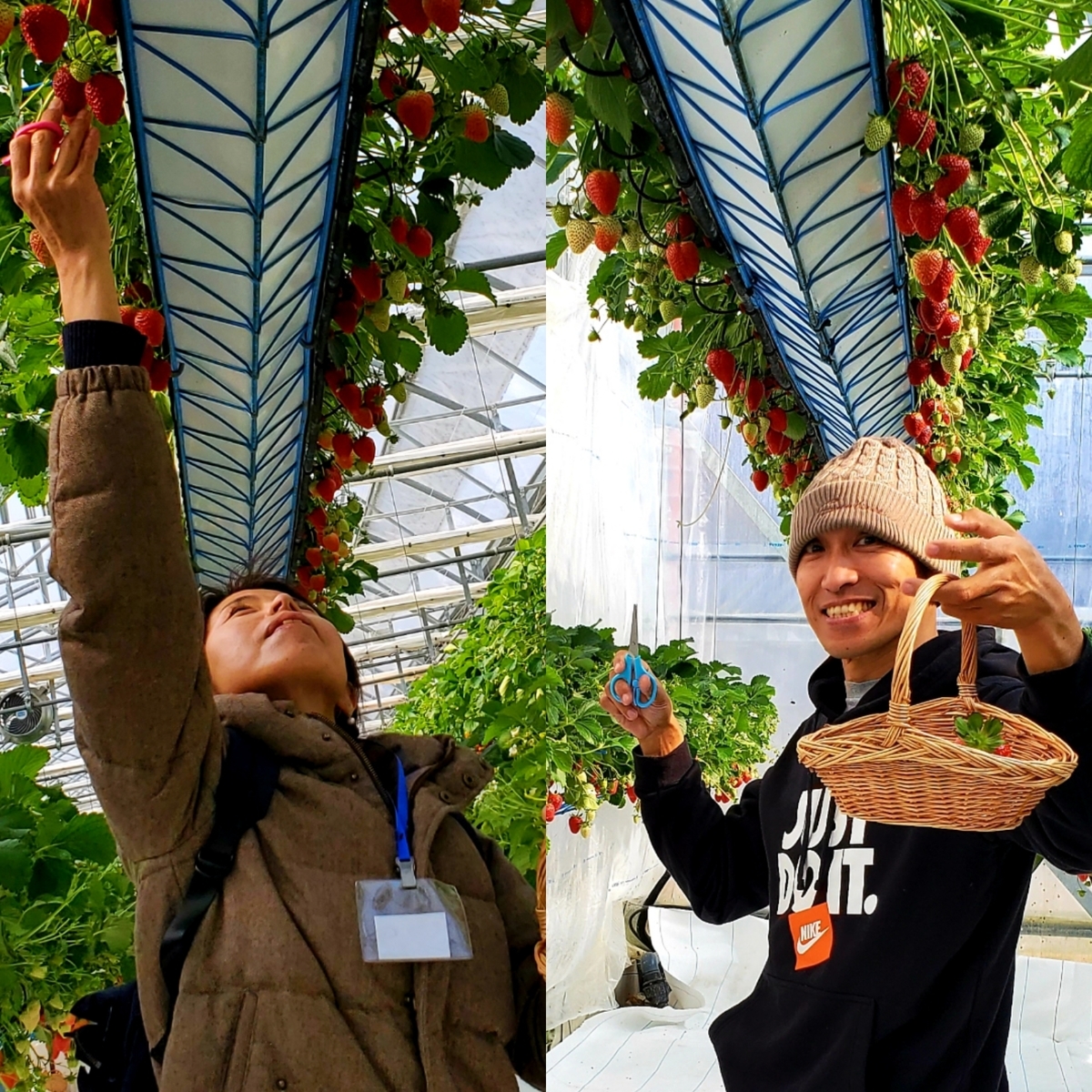 f:id:nakani-shooter:20200205142151j:plain