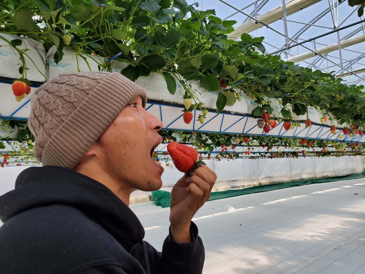 f:id:nakani-shooter:20200205143024j:plain