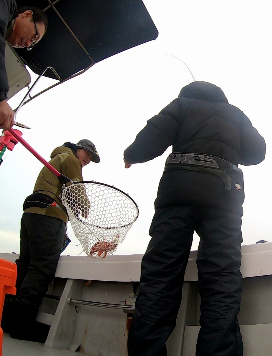 f:id:nakani-shooter:20200215202217j:plain f:id:nakani-shooter:20200215202217j:plain