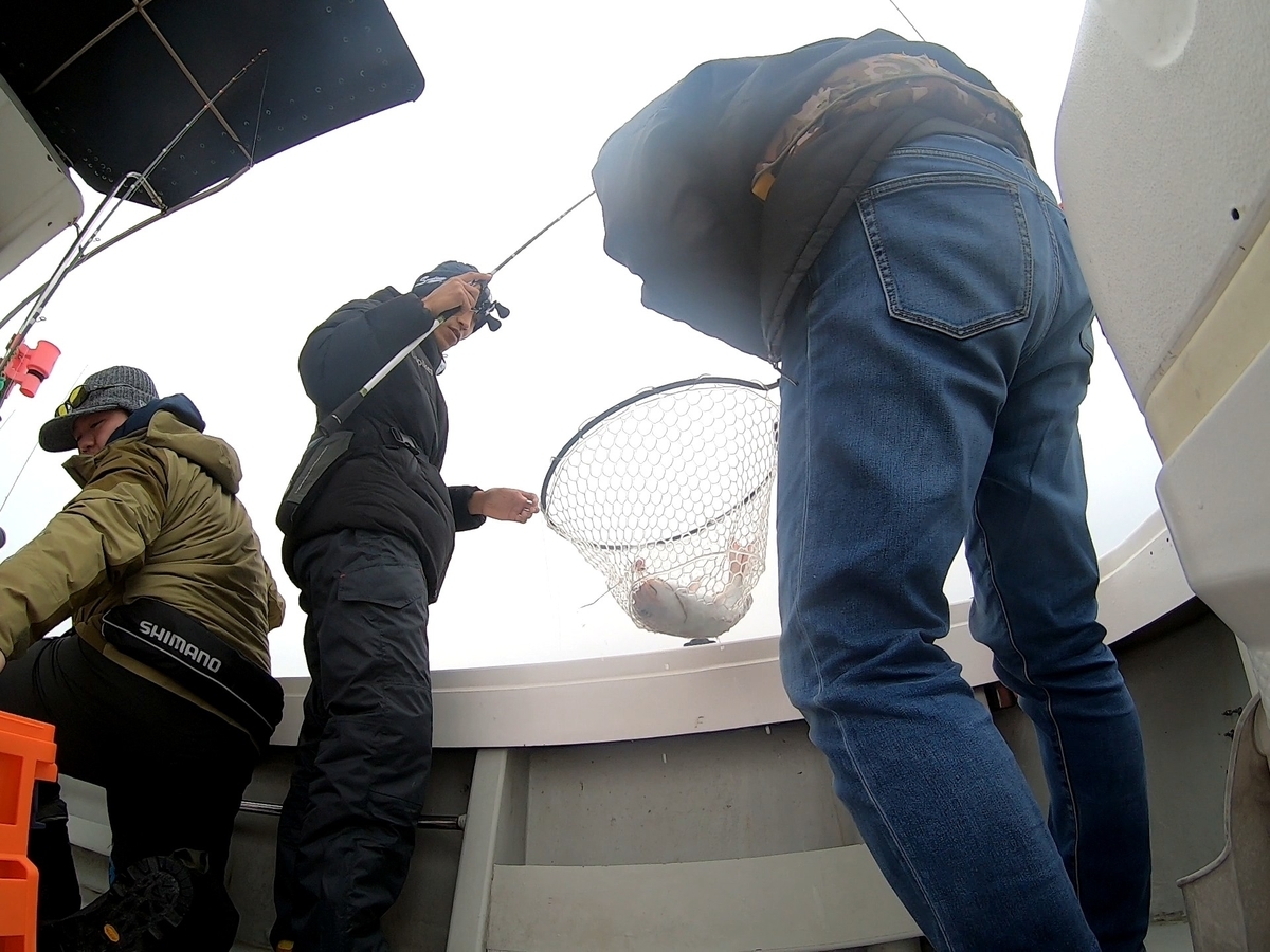 f:id:nakani-shooter:20200215223700j:plain f:id:nakani-shooter:20200215223700j:plain