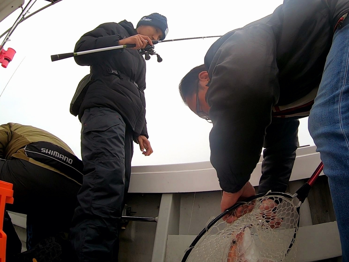 f:id:nakani-shooter:20200215224047j:plain f:id:nakani-shooter:20200215224047j:plain