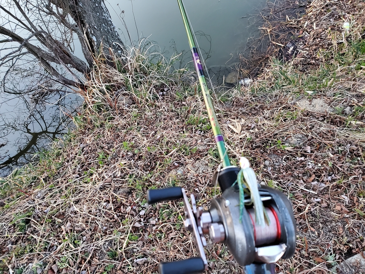 f:id:nakani-shooter:20200313180752j:plain
