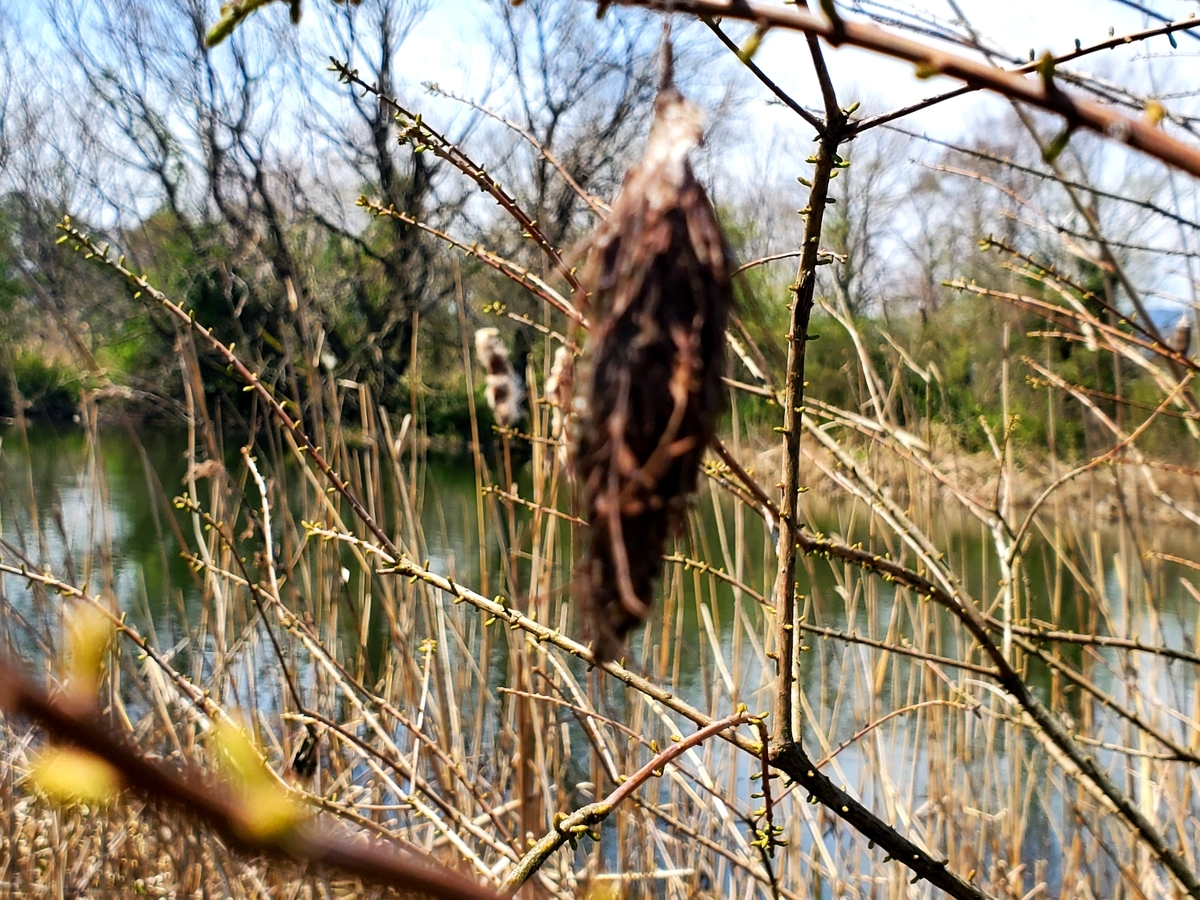 f:id:nakani-shooter:20200412122450j:plain