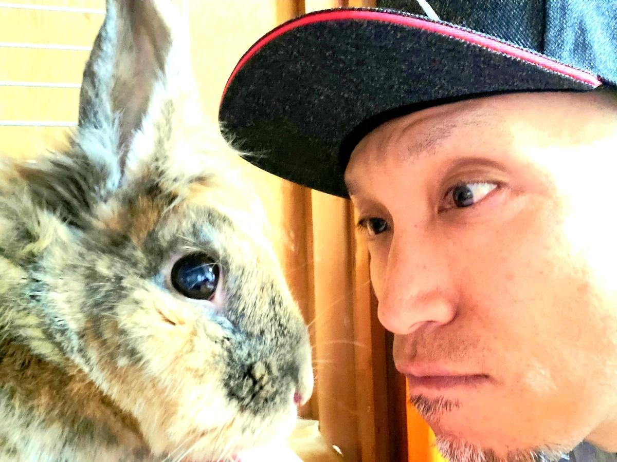 f:id:nakani-shooter:20200419103336j:plain f:id:nakani-shooter:20200419103336j:plain