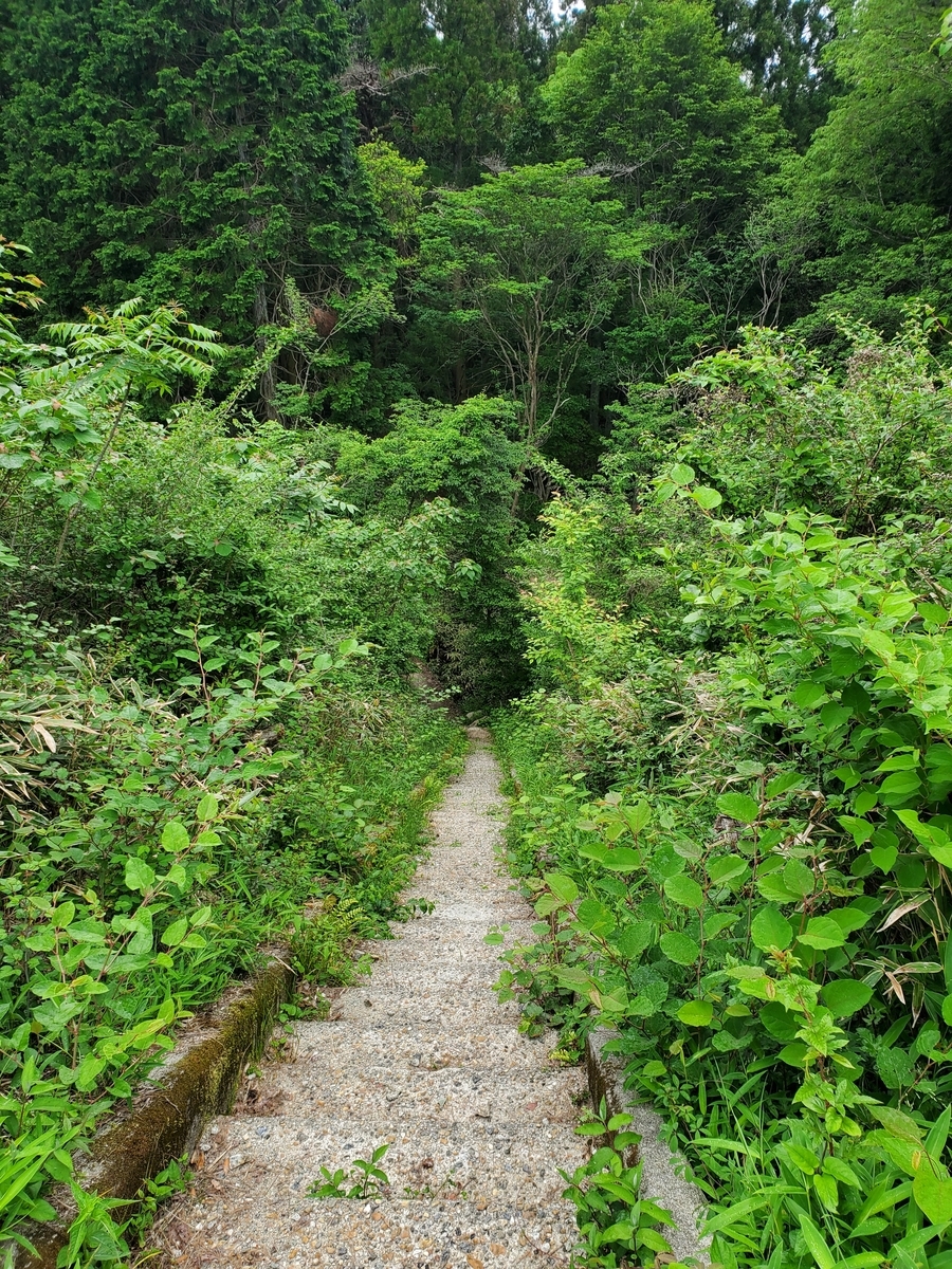 f:id:nakani-shooter:20200527141614j:plain f:id:nakani-shooter:20200527141614j:plain