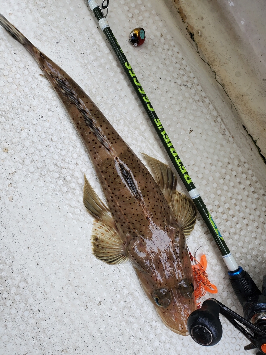 f:id:nakani-shooter:20200711105715j:plain f:id:nakani-shooter:20200711105715j:plain