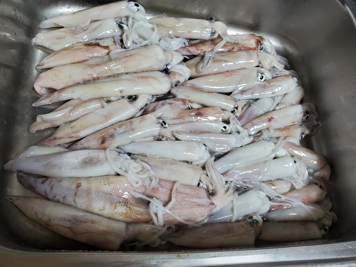 f:id:nakani-shooter:20200726214316j:plain f:id:nakani-shooter:20200726214316j:plain