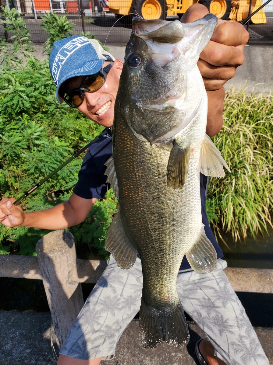 f:id:nakani-shooter:20200903132730j:plain f:id:nakani-shooter:20200903132730j:plain