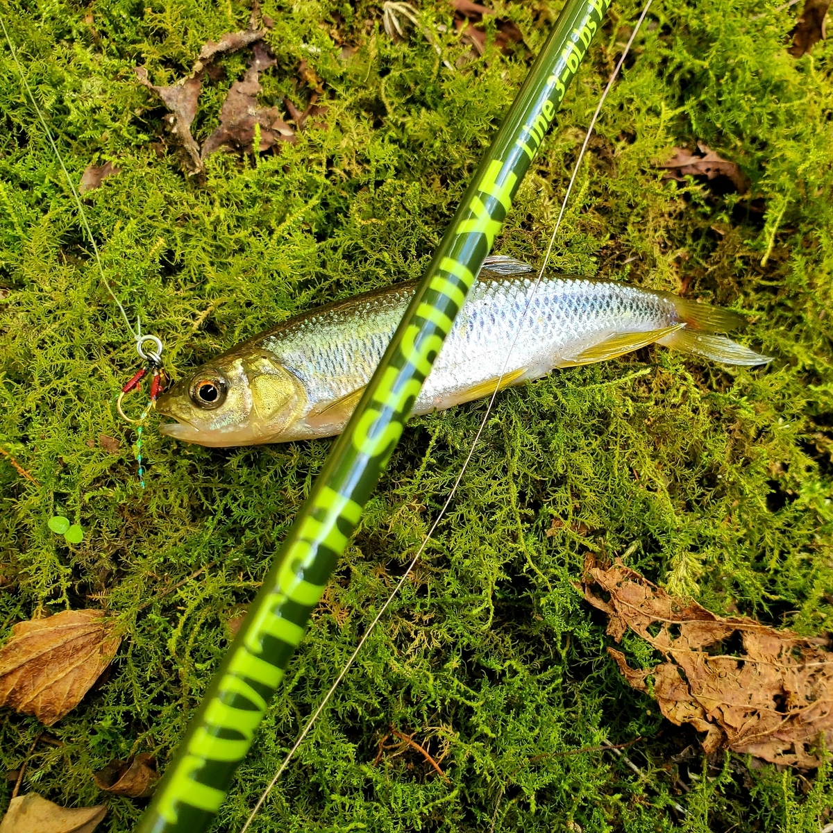 f:id:nakani-shooter:20200907171227j:plain