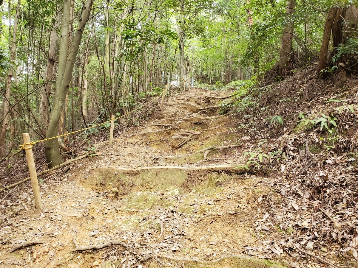 f:id:nakani-shooter:20200915131218j:plain