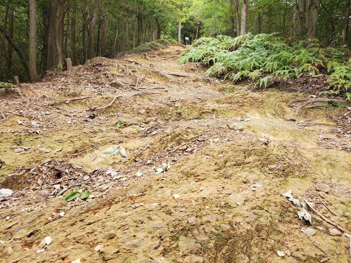 f:id:nakani-shooter:20200915131424j:plain