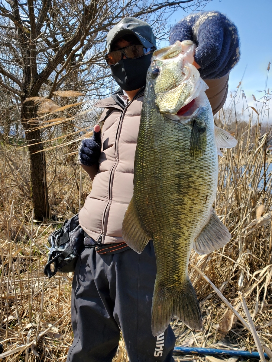 f:id:nakani-shooter:20210311213436j:plain