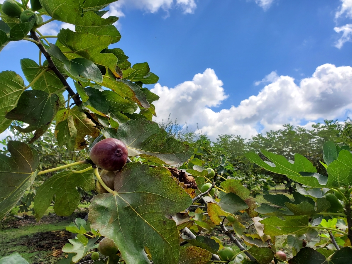 f:id:nakani-shooter:20210922181944j:plain