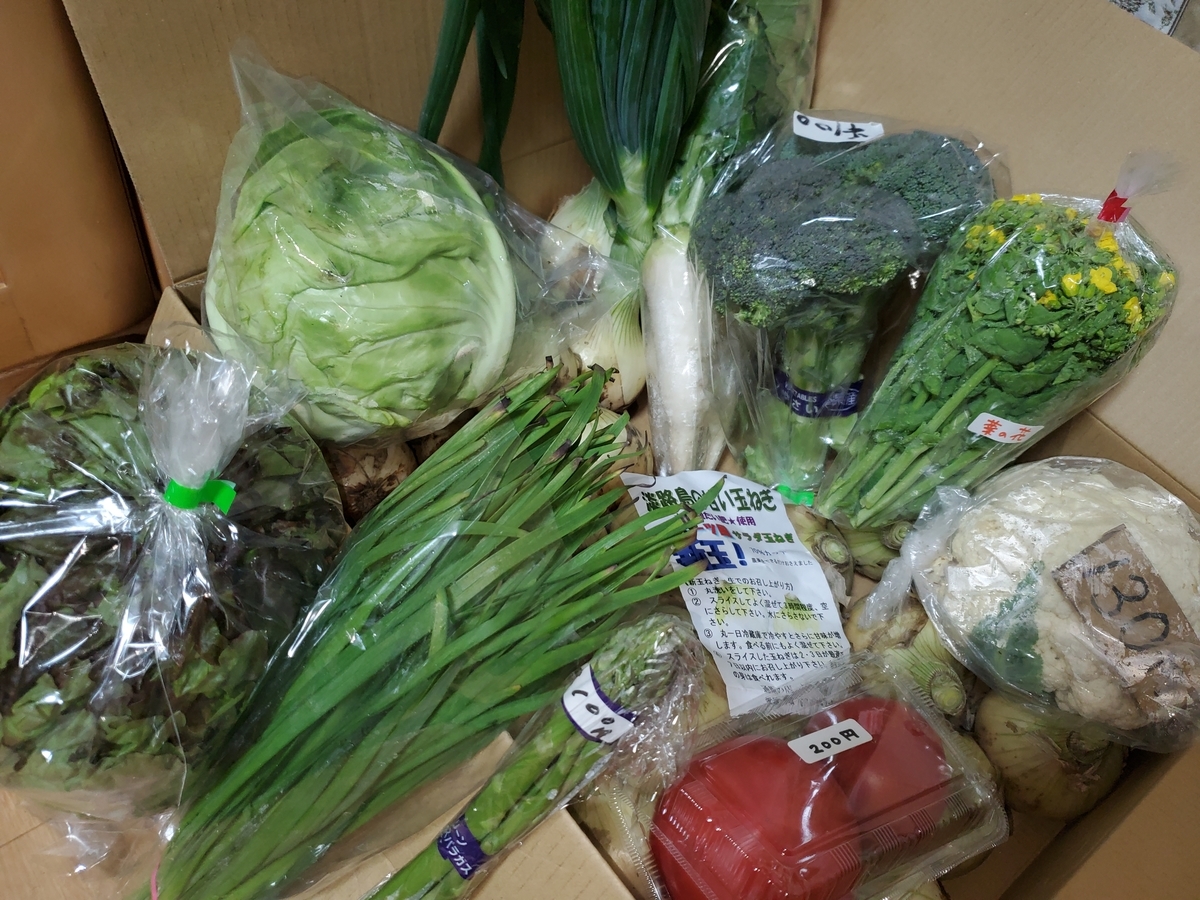 f:id:nakani-shooter:20220411225905j:plain