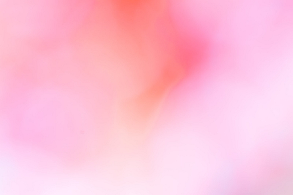 f:id:nakanoblog:20180510170557j:plain