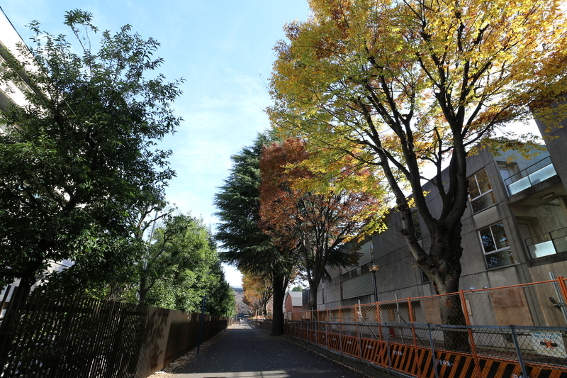 f:id:nakanocitizens:20181209182107j:plain