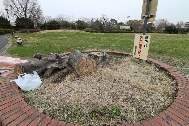f:id:nakanocitizens:20190523040120j:plain