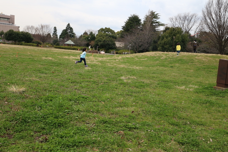 f:id:nakanocitizens:20190523041431j:plain
