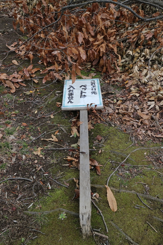 f:id:nakanocitizens:20190523041812j:plain