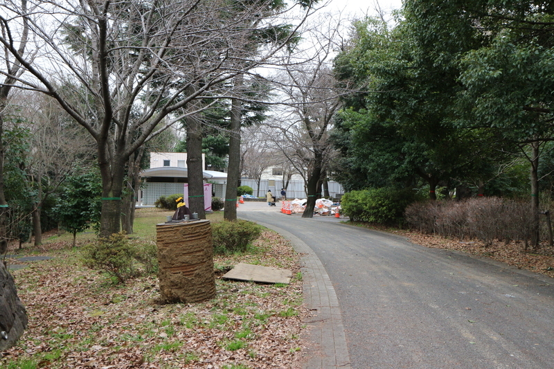 f:id:nakanocitizens:20190523042613j:plain