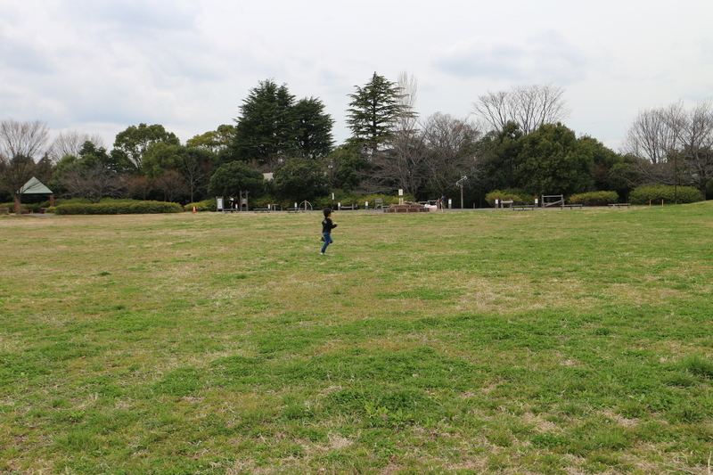 f:id:nakanocitizens:20190523042626j:plain