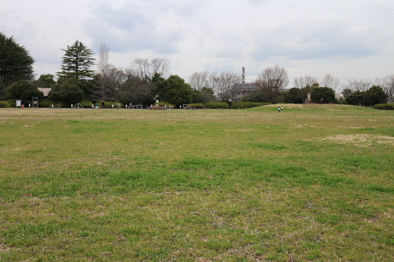 f:id:nakanocitizens:20190523043914j:plain