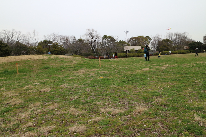 f:id:nakanocitizens:20190523044129j:plain