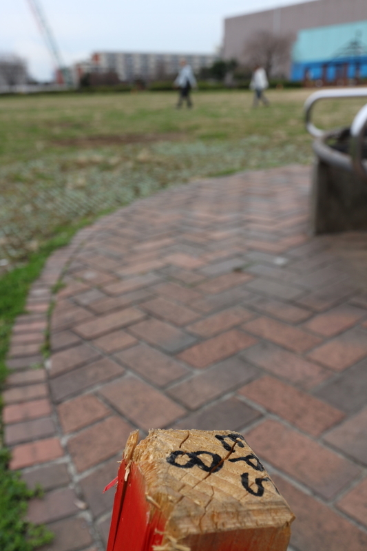 f:id:nakanocitizens:20190523044133j:plain
