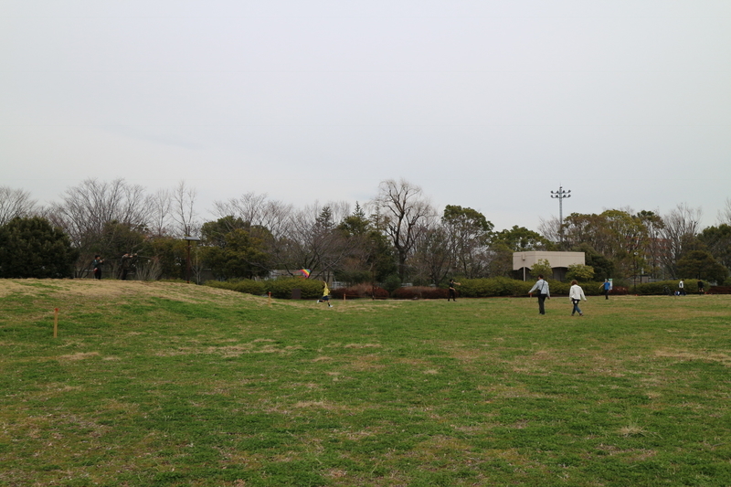 f:id:nakanocitizens:20190523044137j:plain