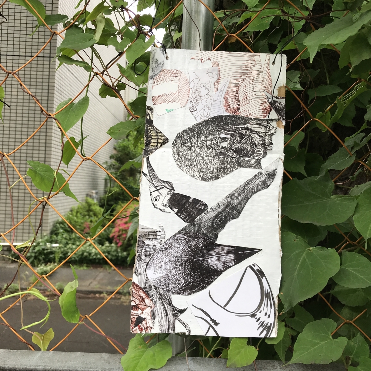 f:id:nakanocitizens:20190601075224j:plain