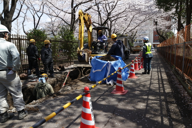 f:id:nakanocitizens:20190604122748j:plain