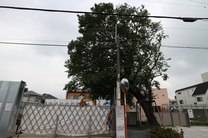 f:id:nakanocitizens:20190809195335j:plain