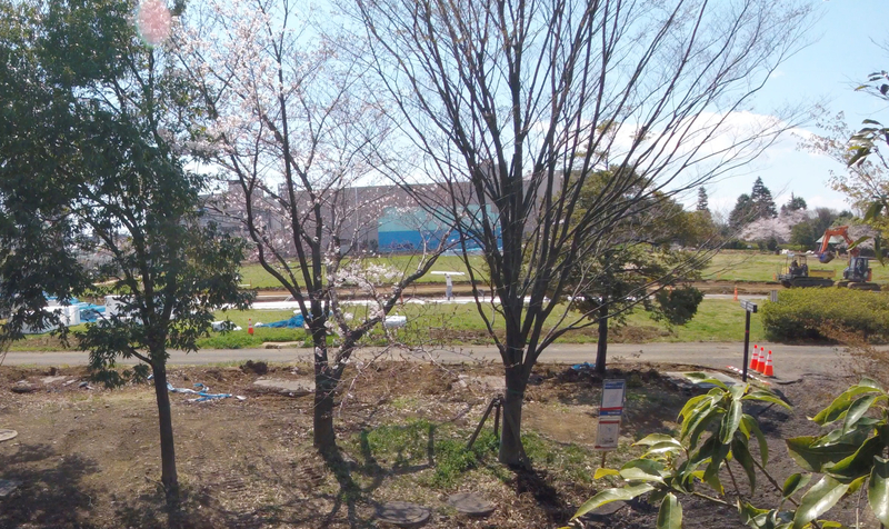 f:id:nakanocitizens:20190814023434j:plain