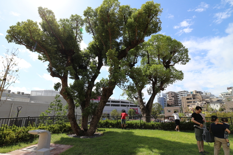 f:id:nakanocitizens:20190923132626j:plain f:id:nakanocitizens:20190923132626j:plain