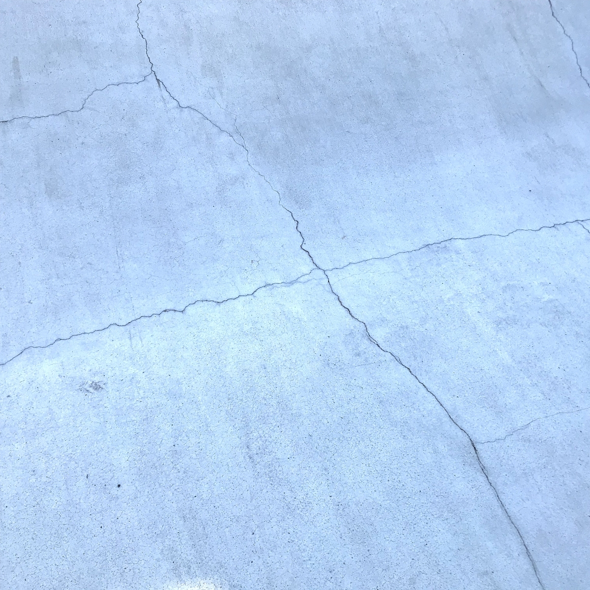 f:id:nakanocitizens:20191117124216j:plain