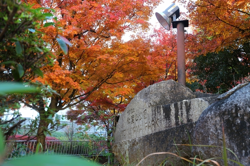 f:id:nakanocitizens:20191210150815j:plain f:id:nakanocitizens:20191210150815j:plain
