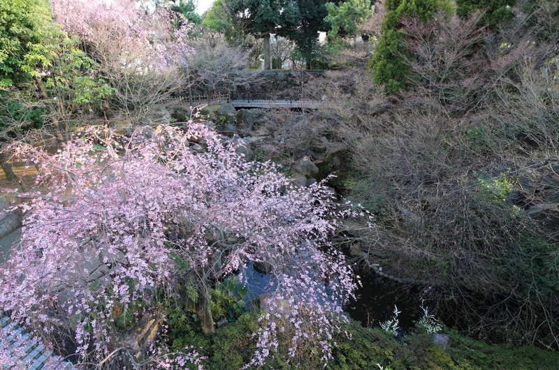 f:id:nakanocitizens:20191210180008j:plain f:id:nakanocitizens:20191210180008j:plain