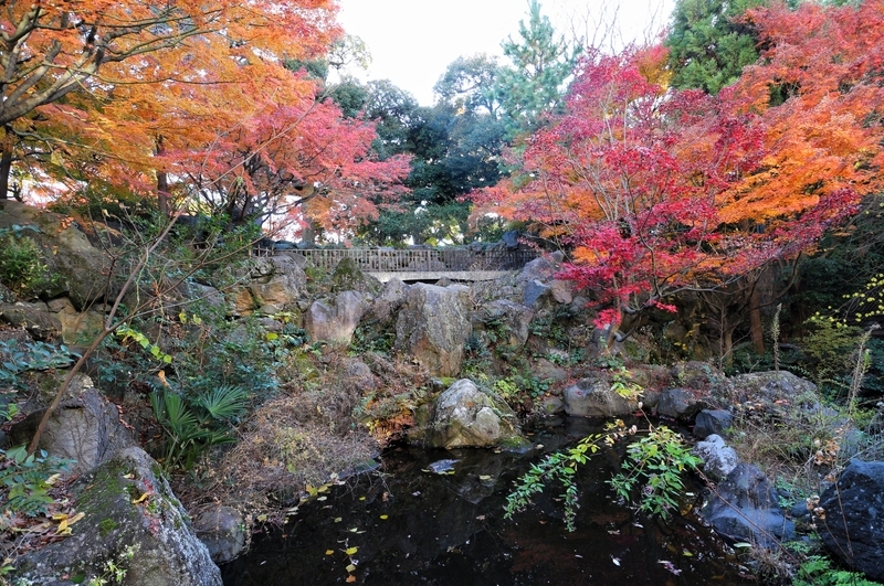 f:id:nakanocitizens:20191210195856j:plain f:id:nakanocitizens:20191210195856j:plain