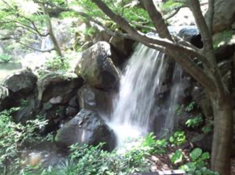 f:id:nakanocitizens:20191210204208j:plain f:id:nakanocitizens:20191210204208j:plain