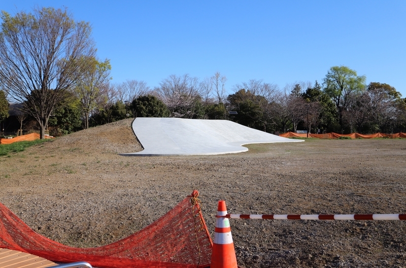 f:id:nakanocitizens:20200404005704j:plain