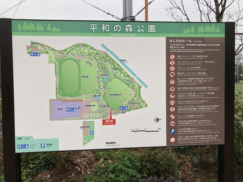 f:id:nakanocitizens:20200404010942j:plain