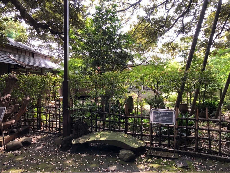 f:id:nakanocitizens:20200607163237j:plain