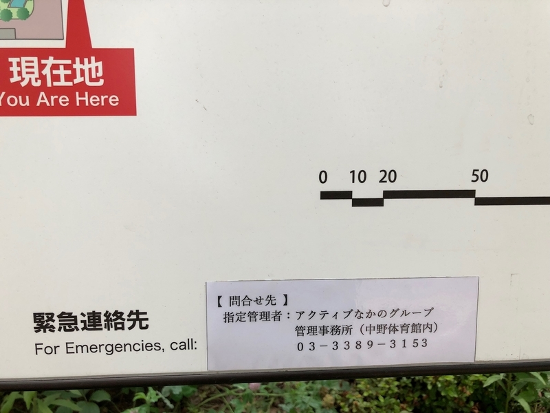 f:id:nakanocitizens:20200613095616j:plain