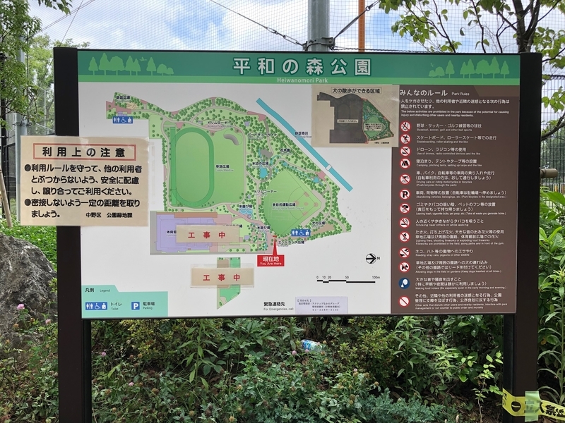 f:id:nakanocitizens:20200613095622j:plain