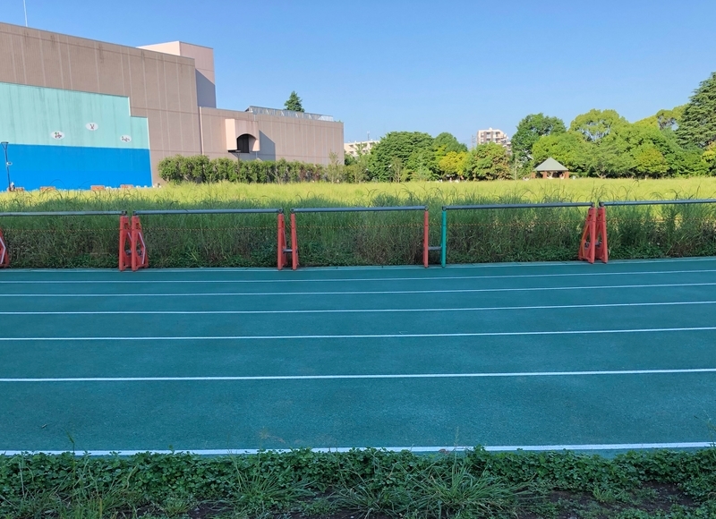 f:id:nakanocitizens:20201215160651j:plain