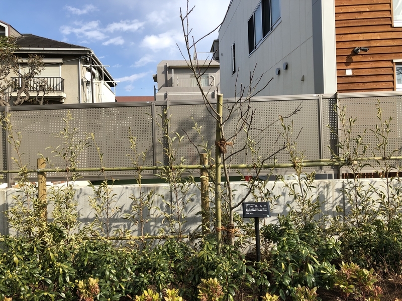 f:id:nakanocitizens:20210210204547j:plain