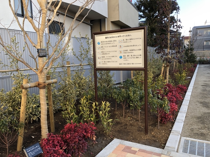 f:id:nakanocitizens:20210210204636j:plain